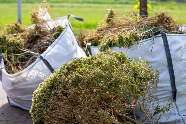 Basement Cleanout Services in Lumberton, NC